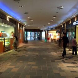 PS100 (D2), Retail #451193161